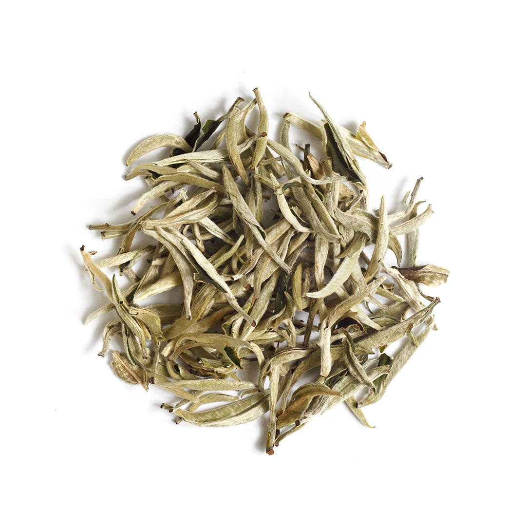 Early Spring Snow Buds White Tea